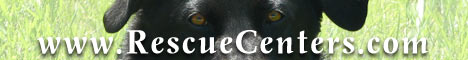 Rescue Centers: Cats, Dogs, Horses, Pets and Other Animals Rescue Centers